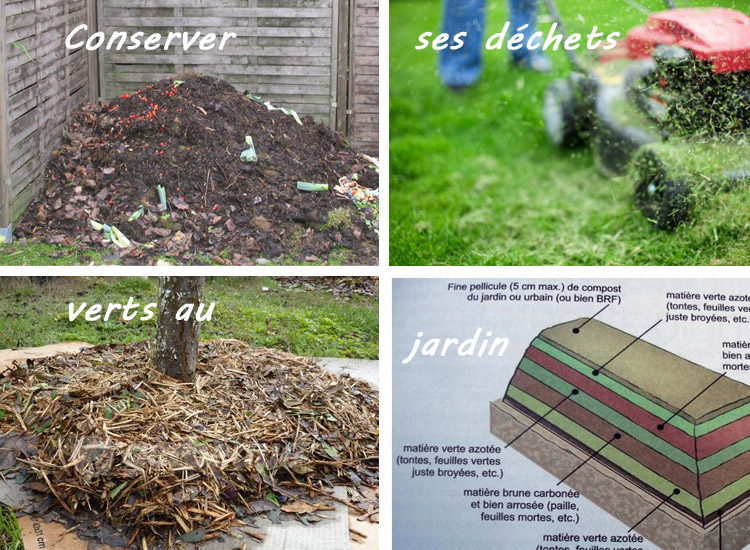 Confinement des déchets verts (en les réutilisant !) 4 conseils d'Amandine Dewaele