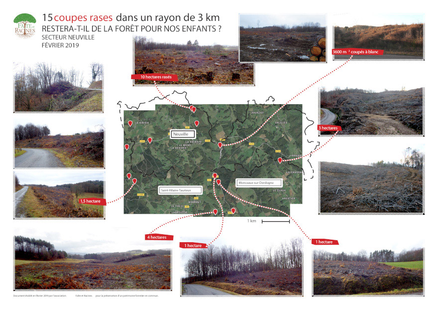 Coupes rases de forêts en Corrèze : l'appel de "Faite et Racines"