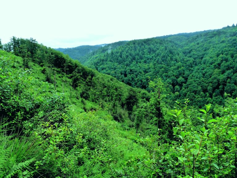 inventaire de la biodiversité vallée de la Cere