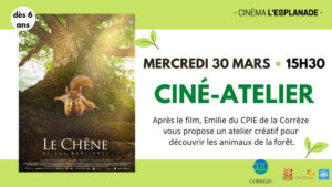 CINE-ATELIER : le Chêne @ Cinéma l'esplanade