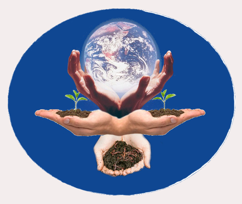 S.E.L de Terre - Logo