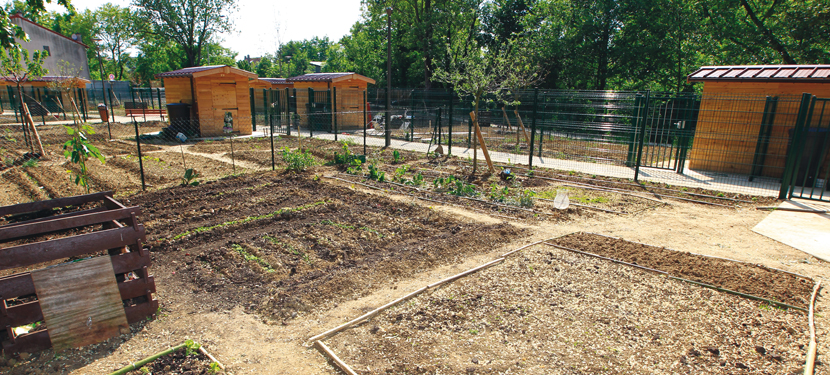 Un jardin familial en cours de construction