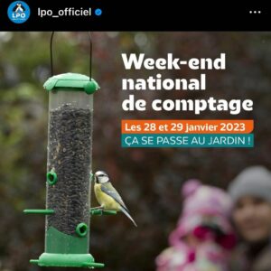 Week-end national de comptage des oiseaux @ Dans un Jardin de votre choix