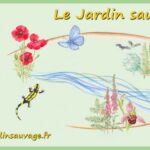 Le Jardin sauvage, Association du Sud Corrèze pour une Nature reconnue et préservée | logo