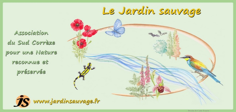 Le Jardin sauvage, Association du Sud Corrèze pour une Nature reconnue et préservée | logo