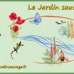 Le Jardin Sauvage - Association du Sud Corrèze pour une nature reconnue et préservée