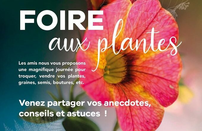 Foire aux plantes de l'association Terre à Terre 23 Avril 2023