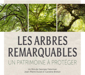 Affiche du Film Les arbres remarqubles, un patrimoine à protéger