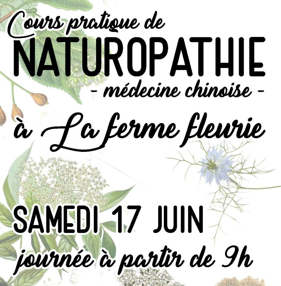 cours pratique de naturopathie médecine chinoise