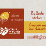 Ferme de Louisotte Coeur de Foret : conception d'une haie