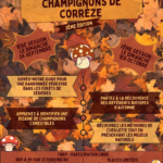 A la découverte des champignons de la Corrèze