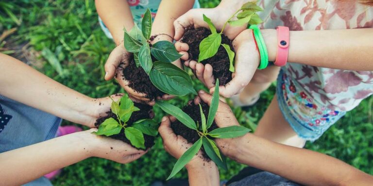 écologie et environnement