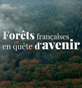 Forêts françaises en quête d'avenir