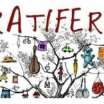 gratiferia de la depaysante