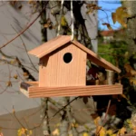 nichoir-et-mangeoire-pour-oiseaux-en-bois-douglas-certifie-pefc