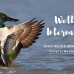 wetlands international