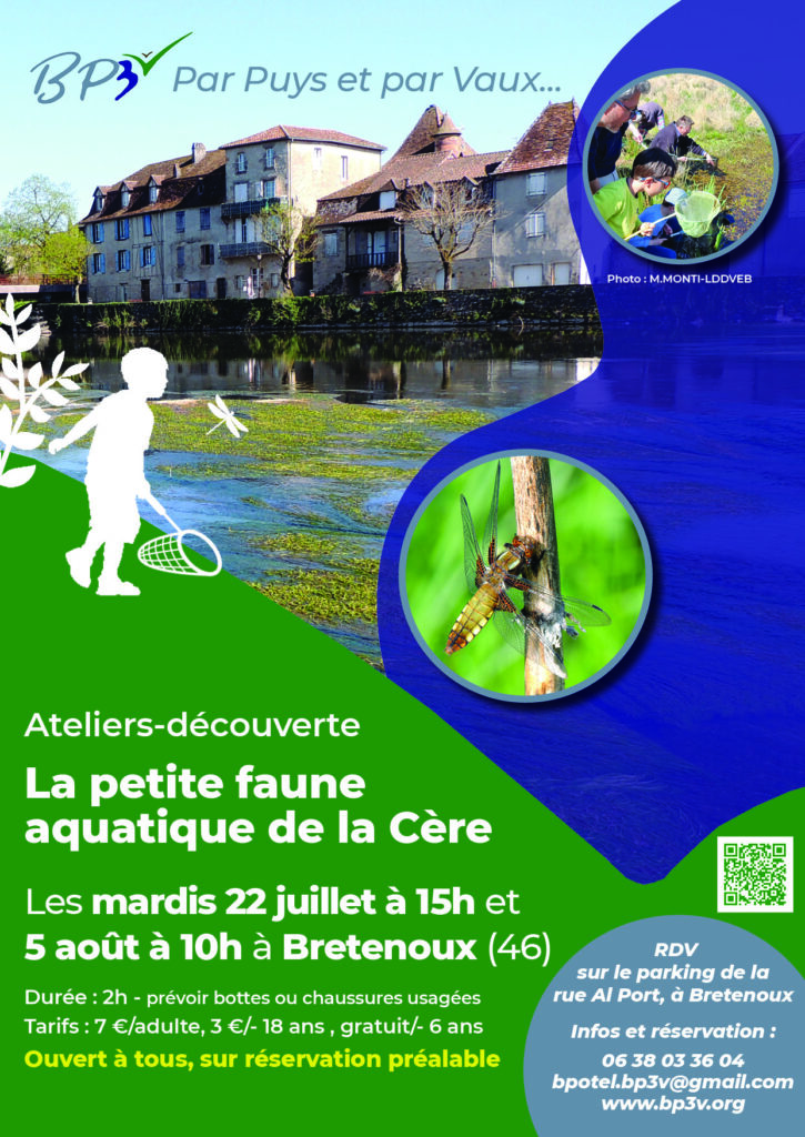 Atelier-découverte "La petite faune aquatique de la Cère", à Bretenoux @ Près du Camping du Bourgnatelle (rive droite)