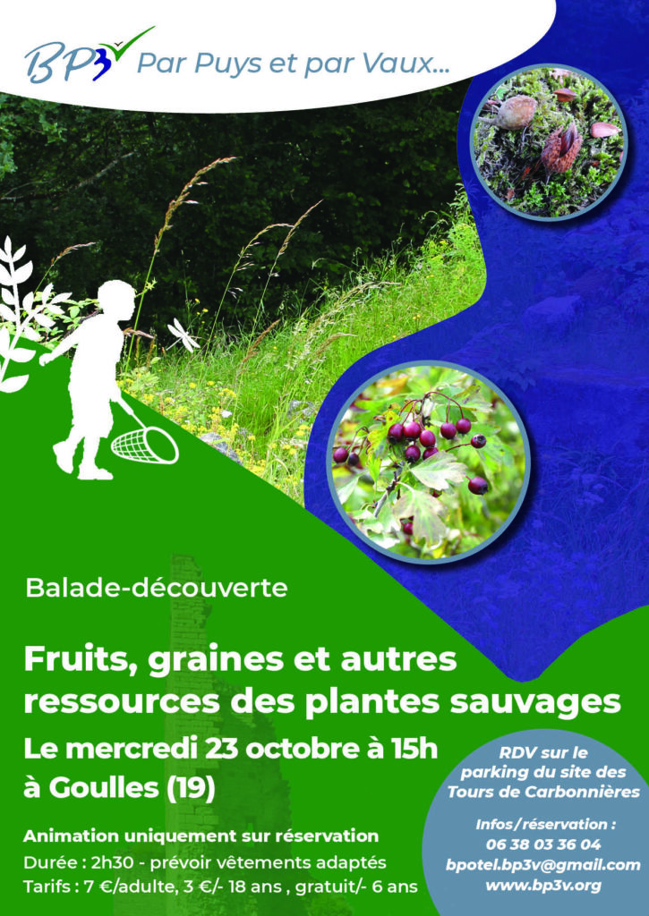 Balade-découverte "fruits, graines et autres ressources des plantes sauvages", à Goulles @ Parking du site, Lieu-dit Auyères