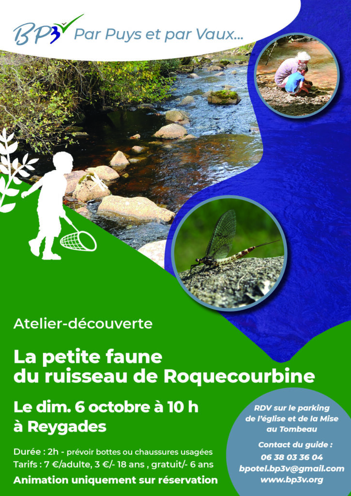 Atelier-découverte de la petite faune du Ruisseau de Roquecourbine, à Reygades @ Parking de la Mise au Tombeau