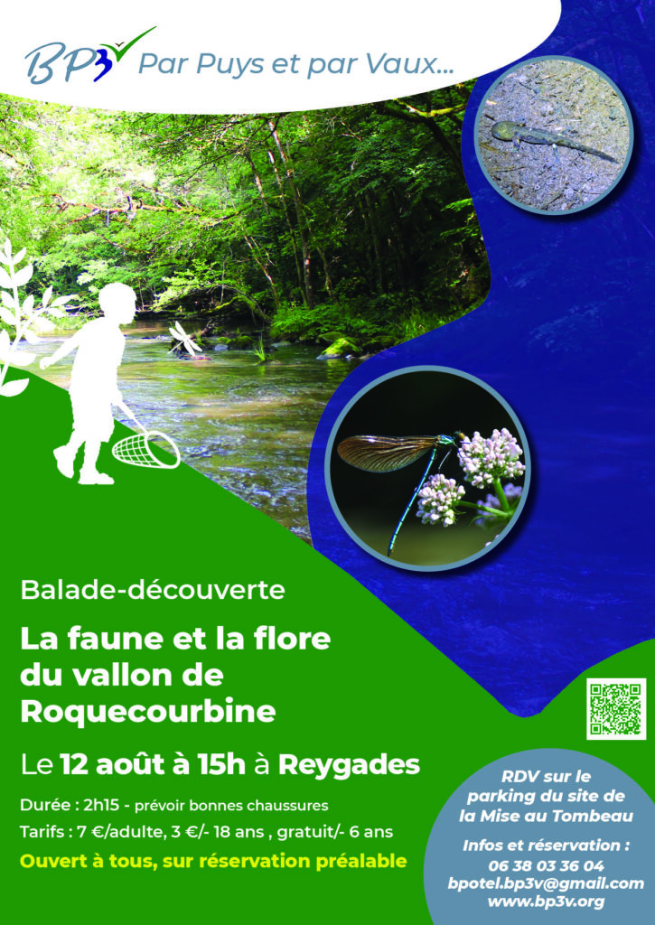 Balade-découverte "La Faune et la flore du Vallon de Roquecourbine", à Reygades @ Parking de la Mise au Tombeau