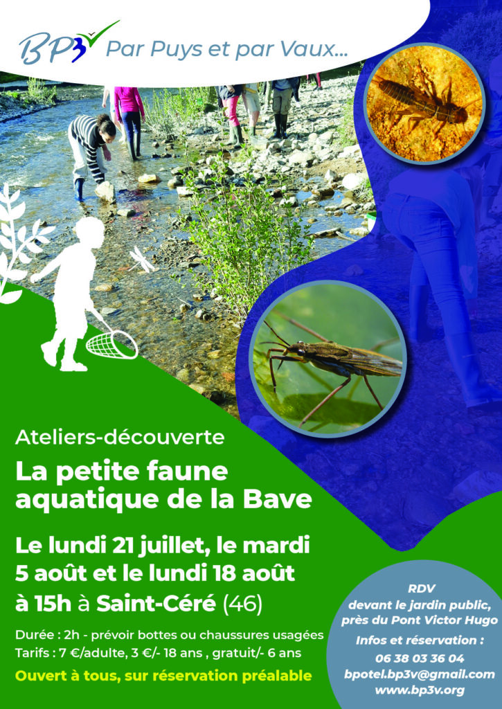 Atelier-découverte "La petite faune aquatique de la Bave", à Saint-Céré @ Jardin public de Saint-Céré