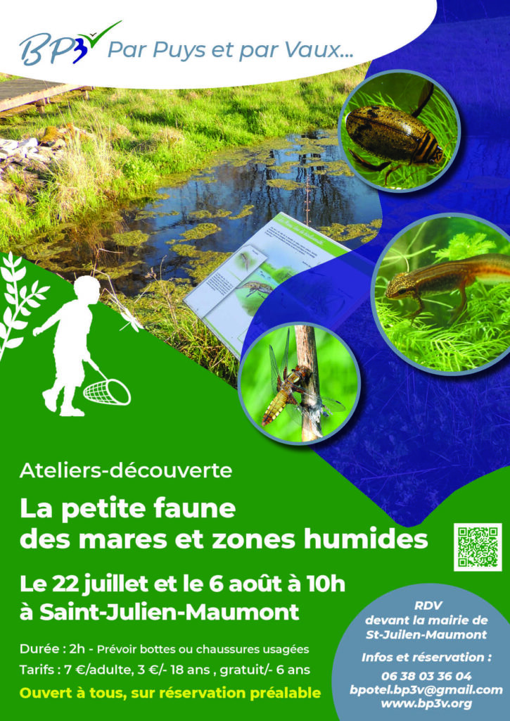 Atelier-découverte "La petite faune des mares et zones humides" à Saint-Julien-Maumont @ Mairie