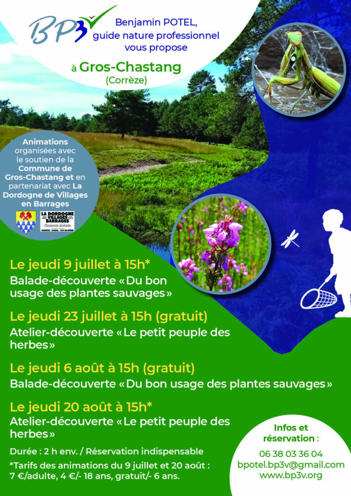 Balade-découverte "Du bon usage des plantes sauvages" à Gros-Chastang @ La Bitarelle