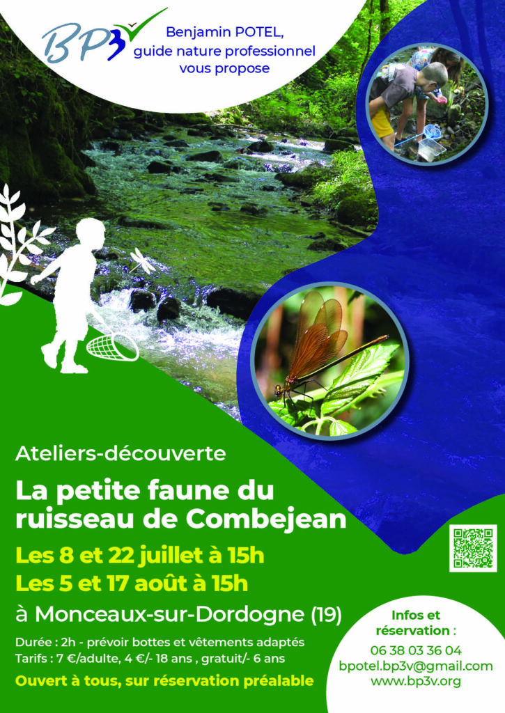 Atelier-découverte "La petite faune du Ruisseau de Combejean", à Monceaux sur Dordogne @ Lieu Dit Port de Vaurs
