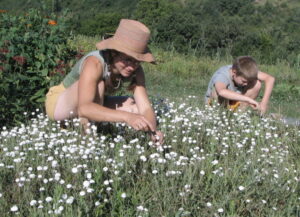 Portes ouvertes : Simples de Sophie - Jusqu'au 29 Août @ Ferme et jardin botanique de Sophie