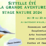 Atelier nature Sitelle aout 2024