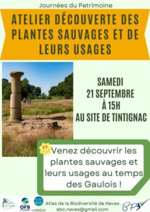 Atelier découverte des plantes sauvages + usages @ Site de Tintignac