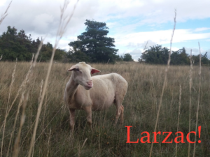 « LARZAC ! », une histoire sociale racontée par Philippe Durand @ Salle des Fêtes de Cornac ( Lot à côté de Bretenoux