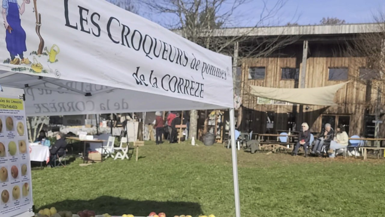 les croqueurs de pomme à l'arbre en fete au battement d'ailes