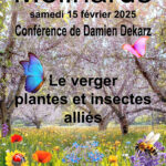 conference insectes par Damien Dekarz