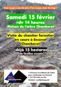 Visite de chantier forestier à Chamberet (15 ha de coupe rase)
