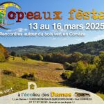 12 Copeaux Festa