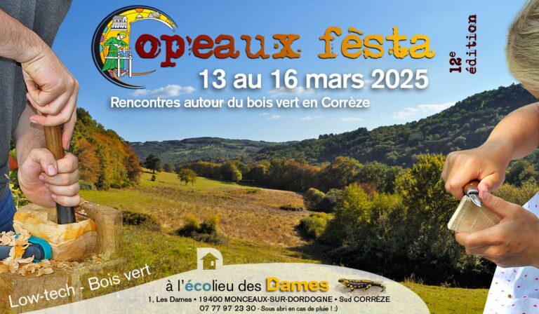 12 Copeaux Festa