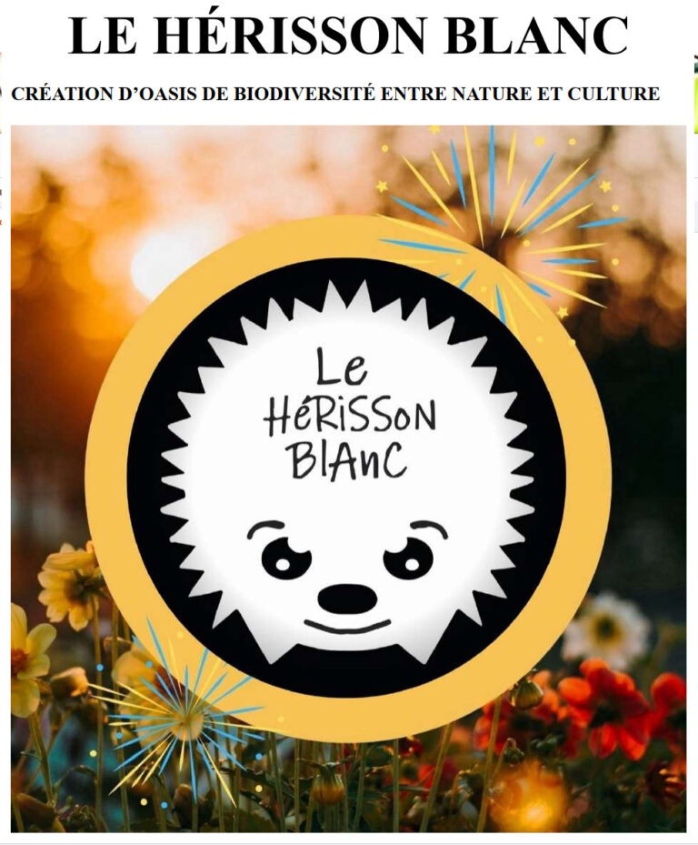 SCOP Herisson Blanc Saint Pantaleon