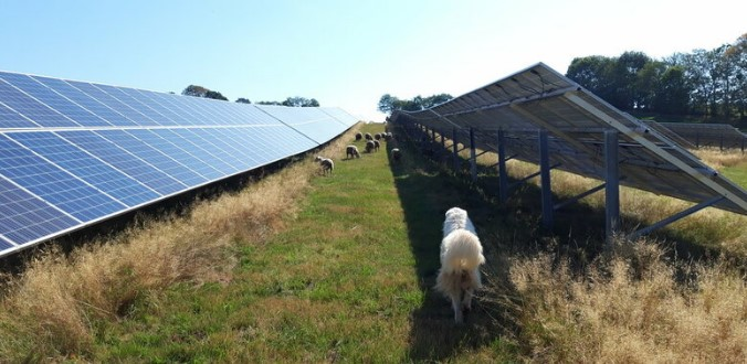 Agrivoltaïsme en corrèze