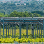 Agrivoltaisme, débat, réalité, ici en corrèze aussi