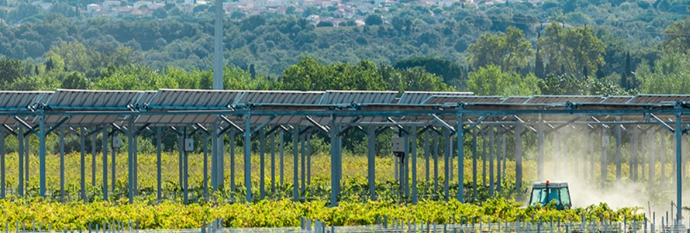 Agrivoltaisme, débat, réalité, ici en corrèze aussi