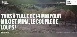 Rassemblement pour les Loups en Corrèze