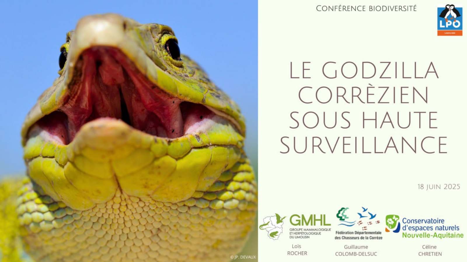 GMHL lézard ocelé conférence LPO