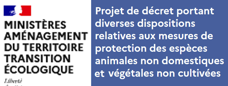 consultation publique loup