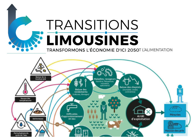 transitions limousines association