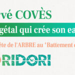 Conférence Hervé Covès - Le végétal qui crée son eau