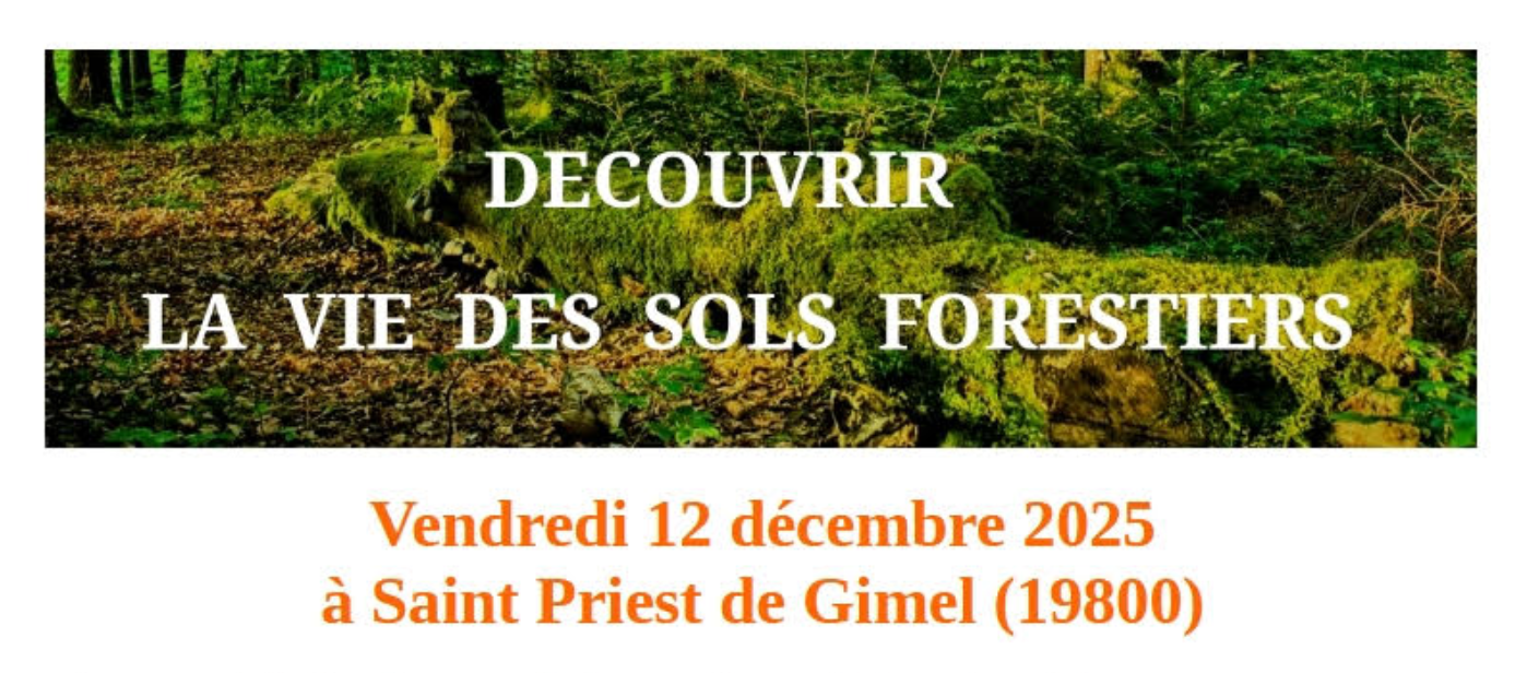ASLGF formation découvrir la vie des sols forestiers