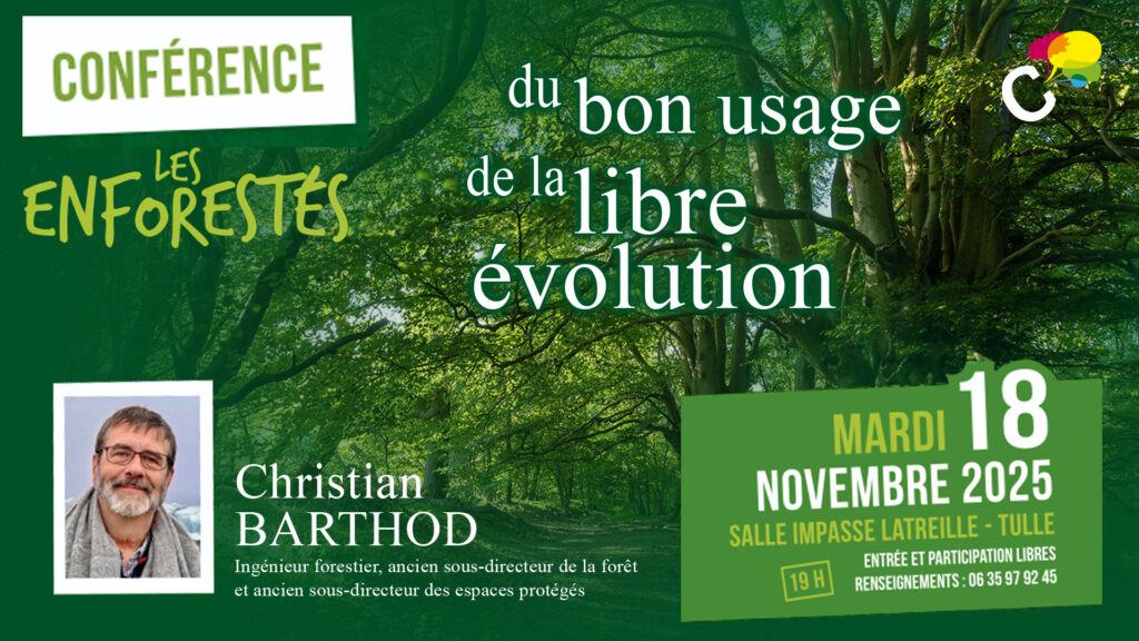 Forets en libre évolution - Enforestéé de Tulle