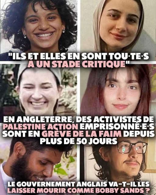 Militant.e.s PALESTINE en grève de la faim depuis 50 jours en Angleterre