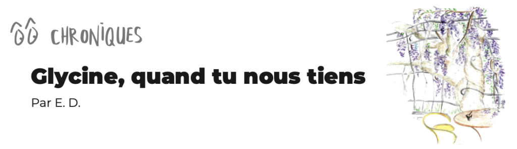 Glycine, quand tu nous tiens